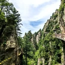 老君山风景名胜区 - 洛阳市旅游 缩略图 6