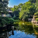 紫荆山公园 - 郑州市旅游 缩略图 4