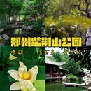 紫荆山公园 - 郑州市旅游 缩略图 1