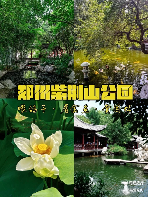 紫荆山公园 - 郑州市旅游