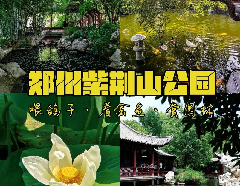 紫荆山公园 - 郑州市旅游 1