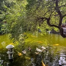 紫荆山公园 - 郑州市旅游 缩略图 2
