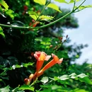 紫荆山公园 - 郑州市旅游 缩略图 9