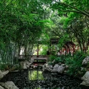 紫荆山公园 - 郑州市旅游 缩略图 3