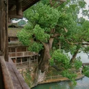 泰顺廊桥文化园游客中心 - 温州市旅游 缩略图 3