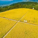 泰顺廊桥文化园游客中心 - 温州市旅游 缩略图 1