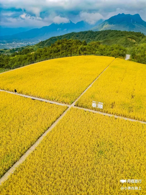 泰顺廊桥文化园游客中心 - 温州市旅游