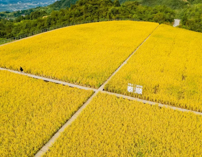 泰顺廊桥文化园游客中心 - 温州市旅游 1