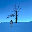 禾木村 - 阿勒泰地区旅游 缩略图 4