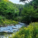 伴山伴水酒店 - 长沙市旅游 缩略图 5