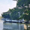 东山湖公园 - 广州市旅游 缩略图 5