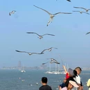 蓬莱阁景区 - 烟台市旅游 缩略图 5