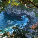 东伊豆町 - 日本旅游 缩略图 3
