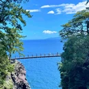 东伊豆町 - 日本旅游 缩略图 4