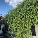 爱华酒店(海南琼海市中心高铁站万泉河店) - 琼海市旅游 缩略图 7