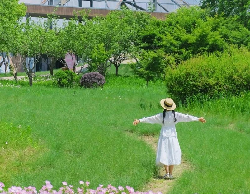 下渚湖国家湿地公园 - 湖州市旅游 1