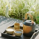 下渚湖国家湿地公园 - 湖州市旅游 缩略图 9