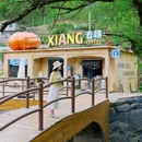 XIANG·云端白茶咖啡馆 - 湖州市旅游 缩略图 5