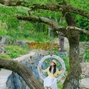 XIANG·云端白茶咖啡馆 - 湖州市旅游 缩略图 3
