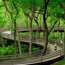 柳浪闻莺 - 杭州市旅游 缩略图 6