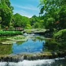 柳浪闻莺 - 杭州市旅游 缩略图 7