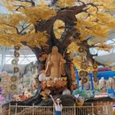 东方山水乐园 - 绍兴市旅游 缩略图 7