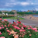 海之恋Park - 青岛市旅游 缩略图 7