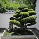 石鼓书院 - 衡阳市旅游 缩略图 3