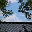 石鼓书院 - 衡阳市旅游 缩略图 7
