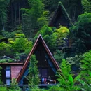 衢州见吾乡·竹栖谷度假民宿 - 衢州市旅游 缩略图 2