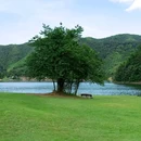安吉地球村花园酒店 - 湖州市旅游 缩略图 4