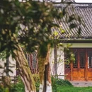 张坝桂圆林风景区 - 泸州旅游 缩略图 2