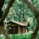 张坝桂圆林风景区 - 泸州旅游 缩略图 6