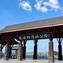 张坝桂圆林风景区 - 泸州旅游 缩略图 9