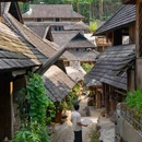 普洱景迈山古茶林景区 - 普洱市旅游 缩略图 2