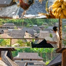 普洱景迈山古茶林景区 - 普洱市旅游 缩略图 3