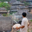 普洱景迈山古茶林景区 - 普洱市旅游 缩略图 7