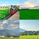 大理洱海天域国际公寓 - 大理白族自治州旅游 缩略图 7