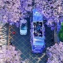 教场中路 - 昆明市旅游 缩略图 1
