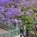 教场中路 - 昆明市旅游 缩略图 8