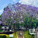 教场中路 - 昆明市旅游 缩略图 9