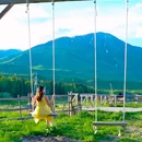 禾木风景区 - 阿勒泰地区旅游 缩略图 7