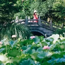 大家的家·隐湖云舍 - 杭州市旅游 缩略图 8