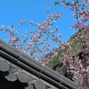 天子地山野乐园 - 杭州市旅游 缩略图 5
