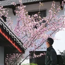天子地山野乐园 - 杭州市旅游 缩略图 1