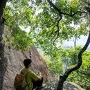 园山风景区 - 深圳市旅游 缩略图 8
