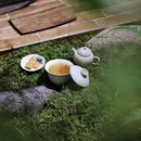 木丘 - 温州市旅游 缩略图 9
