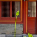 天宁寺 - 东营市旅游 缩略图 2