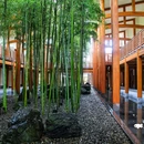 和顺柏联温泉 - 保山市旅游 缩略图 4