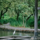 和顺柏联温泉 - 保山市旅游 缩略图 2